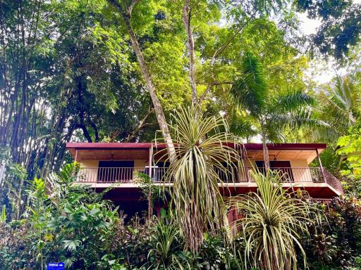 Bali inspired Casa Cascada w Jungle views pool - Housity