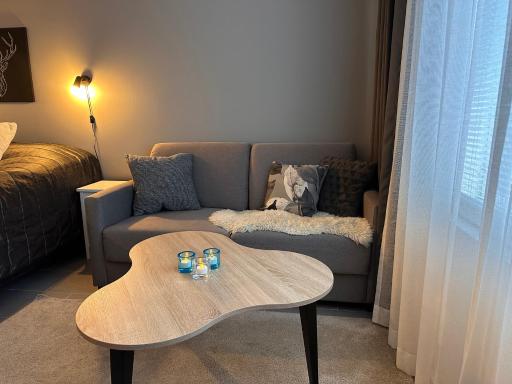 Arctic Star Levi - Lumitähti - Housity