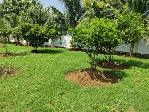 Siva Rama star comfort stay&gardens - Housity
