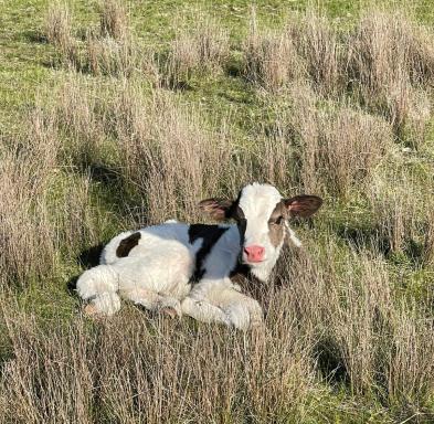 Mariam Farm Stay - Housity