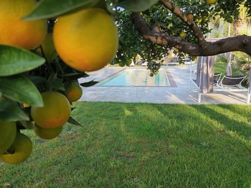 B&B Villa Limão - Housity