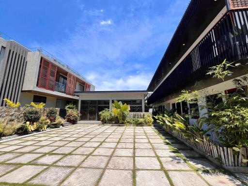 Mula De La Paz - Housity