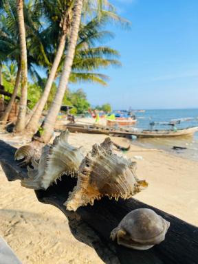 Koh Mook Rem Ley - Housity