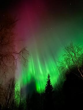 Villa Kaltio - Housity