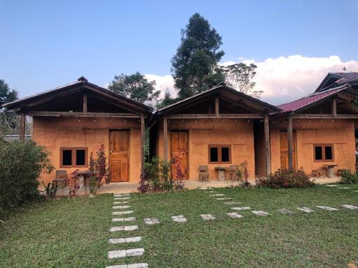 Lý Tà Quân Homestay - Housity
