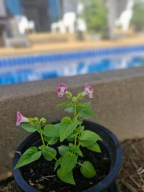 BEA Privileged Apartment - Housity