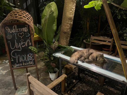 Uyen's House - Housity