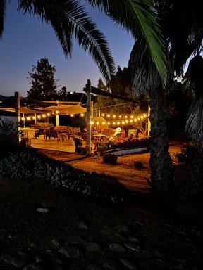 Loft Verdejo Cava Exclusiva Vinos Viñedo Privado - Housity