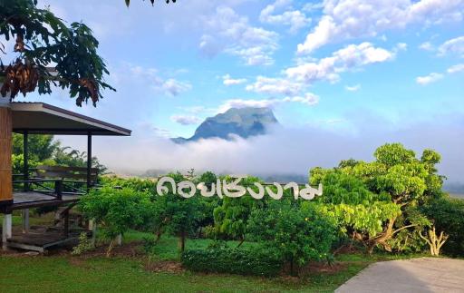 Doicherngngam Home stay - Housity