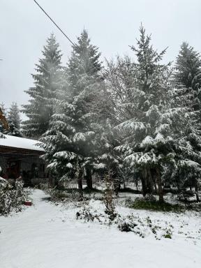 Guest house Hyrmet Demushi - Housity