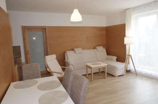 Apartmá 11 Deštné v Orlických horách - Housity