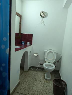 Q-Bar & Guesthouse - Housity