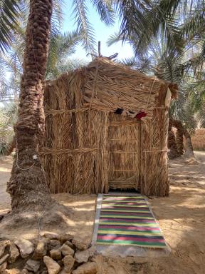 Forest Camp Siwa - كامب الغابة - Housity