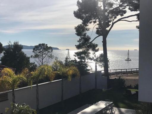 Bord de mer aux Pins Penchés - Housity