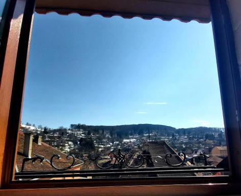 Hotel Claudiu - Housity
