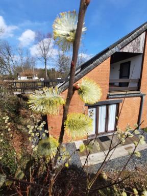 Le Sentier des Lavandes - Housity