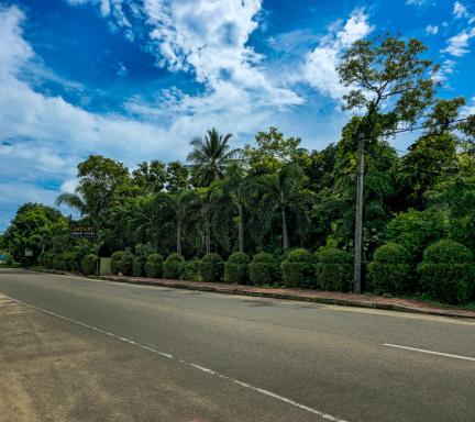 Jayaru Guest House - Housity