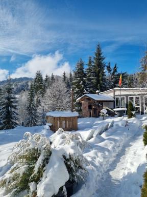 Cabana Căsaru - Housity