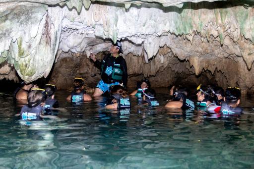 Hotel Casa Tortuga Tulum - Cenotes Park Inclusive - Housity