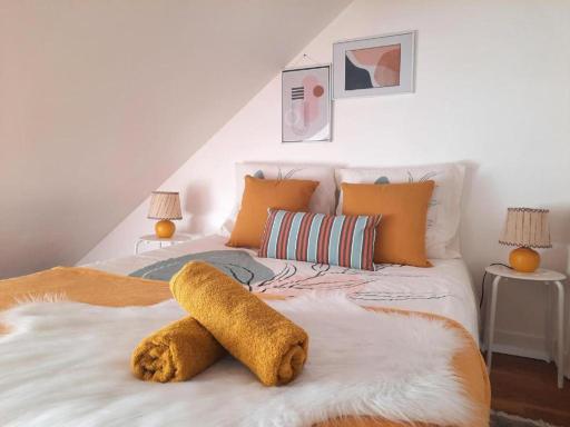 Le cocoon Hyper centre Orleans proche Gare - Housity