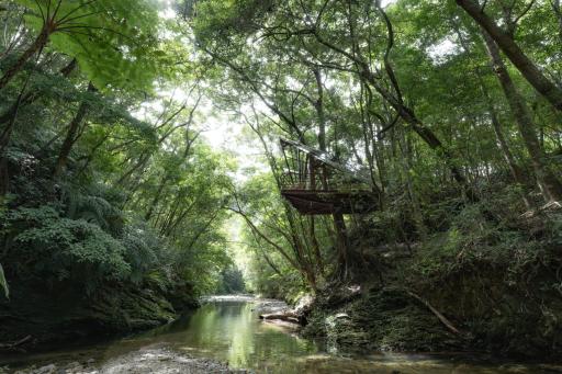 Treeful Treehouse Sustainable Resort Okinawa - Housity