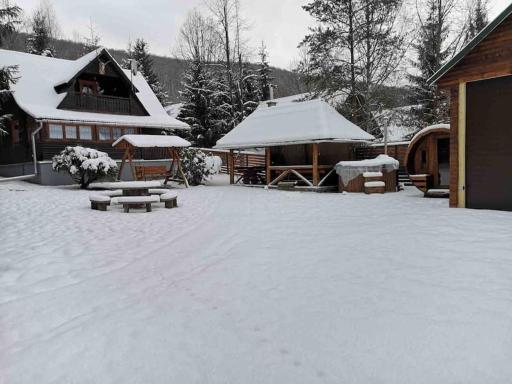 Cabana Cerbul de Aur Sub Cetate (Lacul Zetea) - Housity