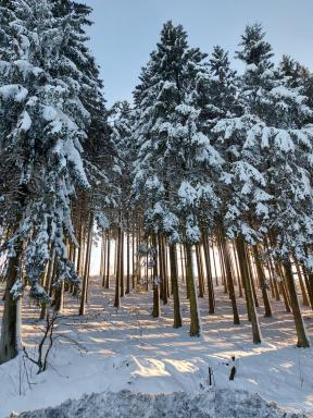 Maries bunte Villa - Housity