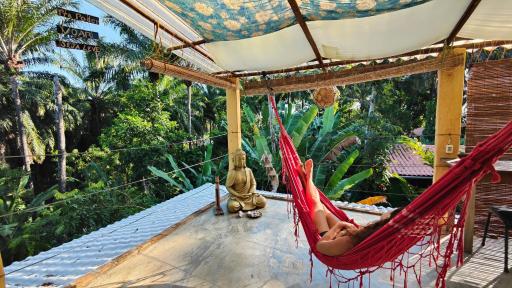 Eco Casa di Barro Hospedagem e Hostel - Housity
