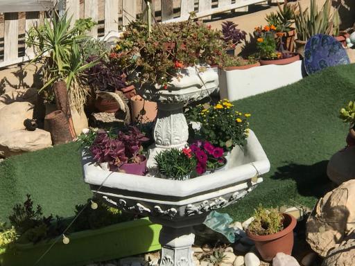 סוויטות עין השמש eye sun - Housity