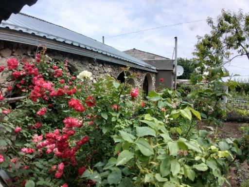 Emma B&B - Housity
