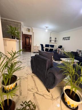 Nice Apartment next to the Sea in Miami Alexandria - Housity
