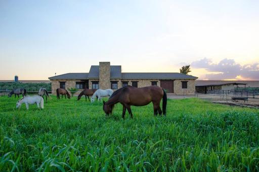 Casa Ecuestre Carmen Martínez - Housity