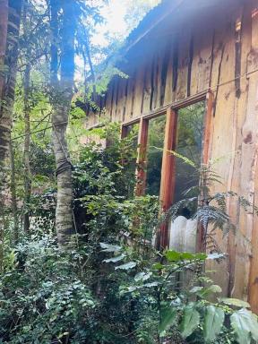 Hermosa Cabaña en el bosque - Housity