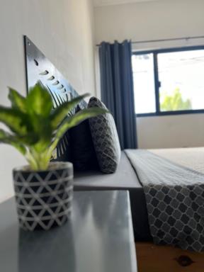 KAVA lofts - Housity