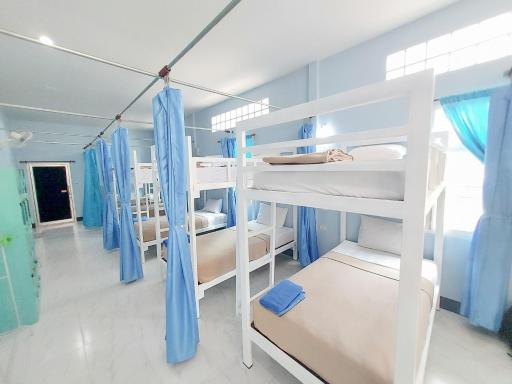 Khao Sok Backpacker Hostel - Housity
