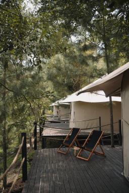 RINDANG Glamping - Housity