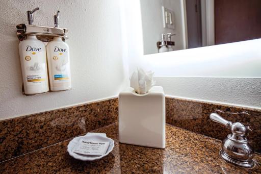 Holiday Inn Irving Las Colinas, an IHG Hotel - Housity