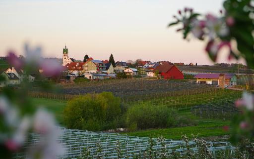 Gasthof Brennerei zum Forst - Housity