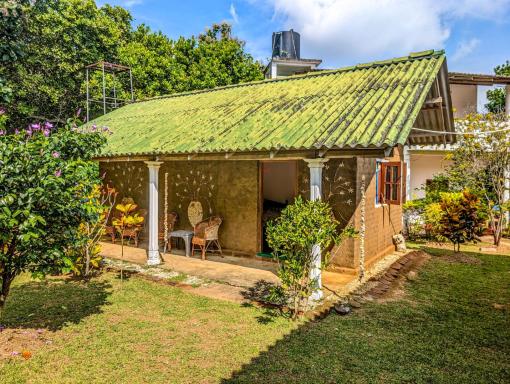 Peacock Family Stay - Housity