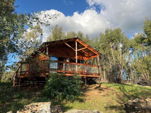 Nature's Loft - Housity