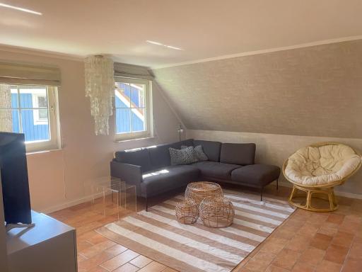 Strandparadies 2 - Das Hundeparadies - Housity