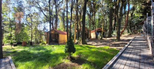 Cabañas Vive el Bosque - Housity