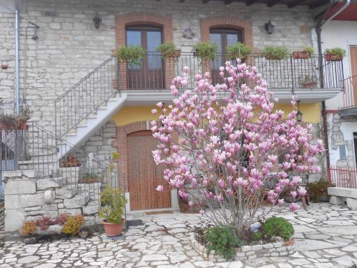 Masseria Rosella - Longhi - Housity
