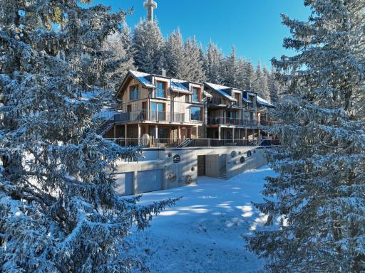 Ski-in & Ski-Out Chalet Schladming-Dachstein - Housity