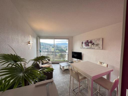 Les Balcons de Villards - Au pied des Pistes - Housity