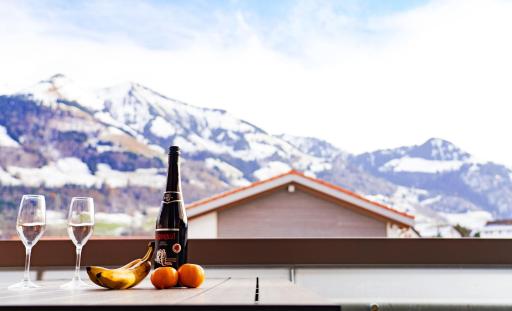 Gruyère Alpes Appartement 3 chambres BBQ Parking - Housity