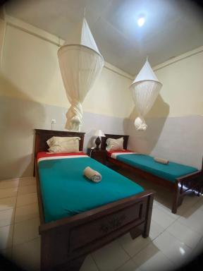 Volcano Living - Housity