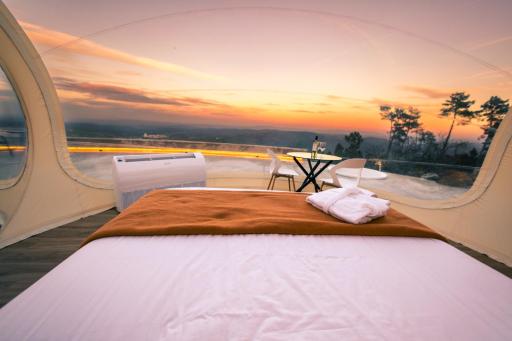 Glamping Balú - Housity