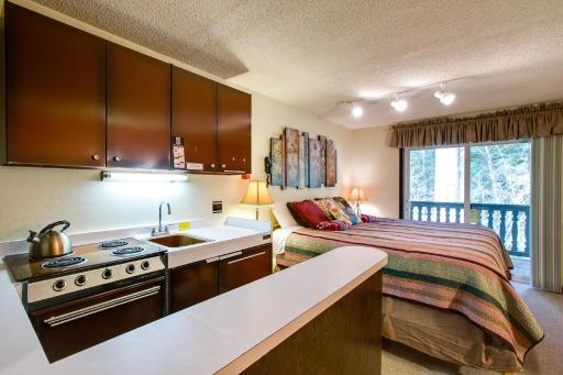 Snowline Lodge Condo 46 - Great for skiers and hikers on a budget Now has Wifi - Housity