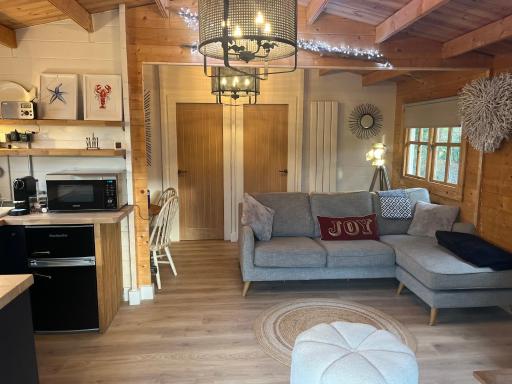 O Dan Y Coed Swedish Log Cabin with New 2024 Wood Fired Hot Tub - Housity
